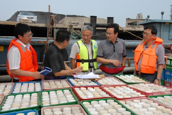 手机长江水文网