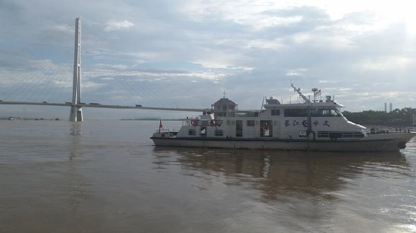 手机长江水文网