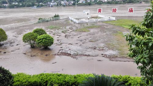 [测报一线]黄陵庙分局抗击山洪纪实