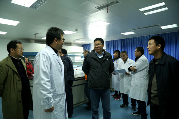 长江委水文局检查上游局今冬明春安全生产工作